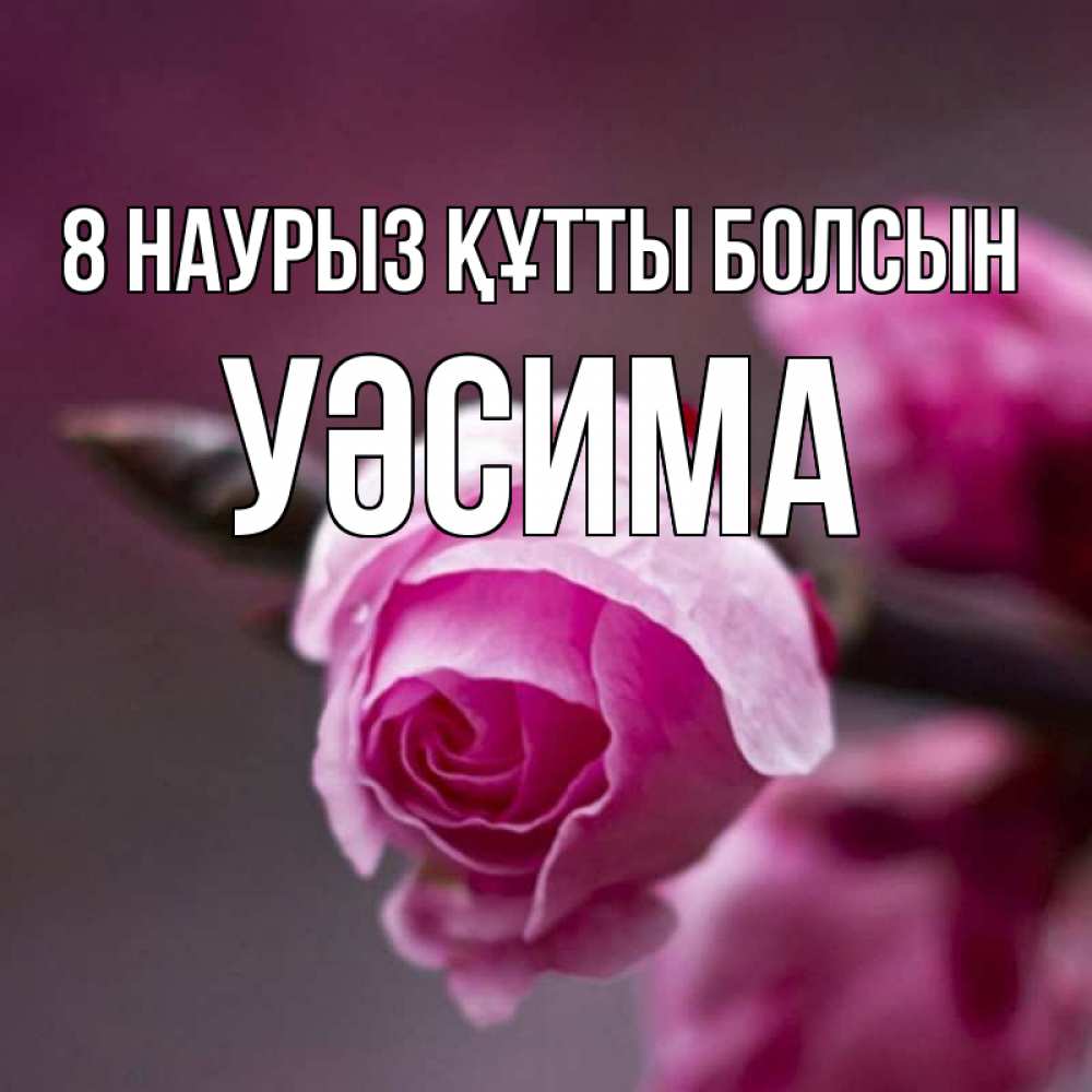 Күн сайын ашық хат с именем, УӘСИМА 8 наурыз құтты болсын весна Онлайн тегін жүктеп алу тілектері бар керемет карта 