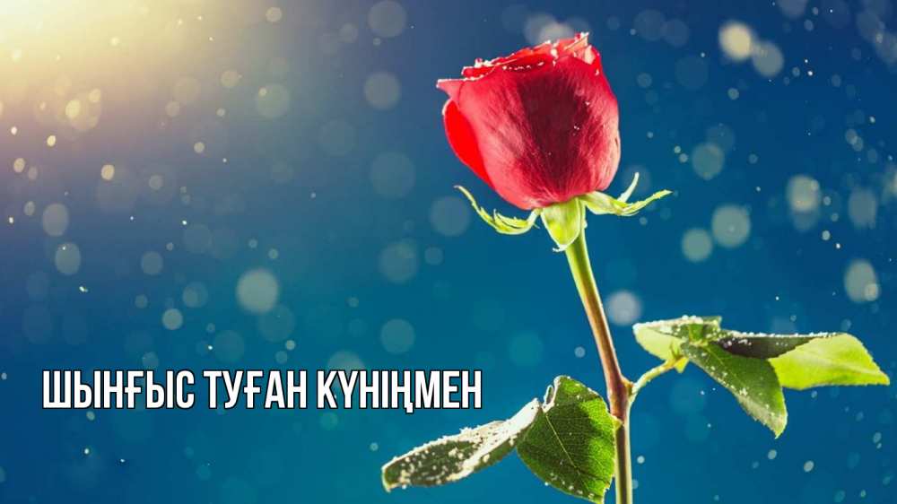 Картинка  с именем , ШЫНҒЫС! ТУҒАН КҮНІҢМЕН!