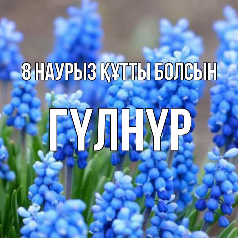 Күн сайын ашық хат с именем, ГҮЛНҮР 8 наурыз құтты болсын Поздравительная открытка для женщин с цветами на праздничную дату Онлайн тегін жүктеп алу тілектері бар керемет карта 