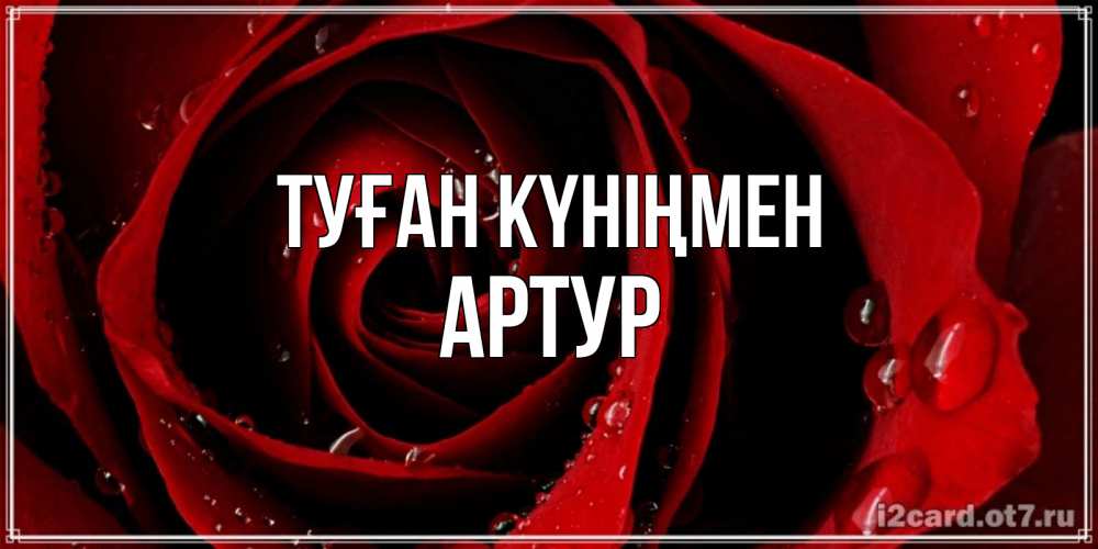 Күн сайын ашық хат с именем, Артур Туған күніңмен крупная бордовая роза Онлайн тегін жүктеп алу тілектері бар керемет карта 