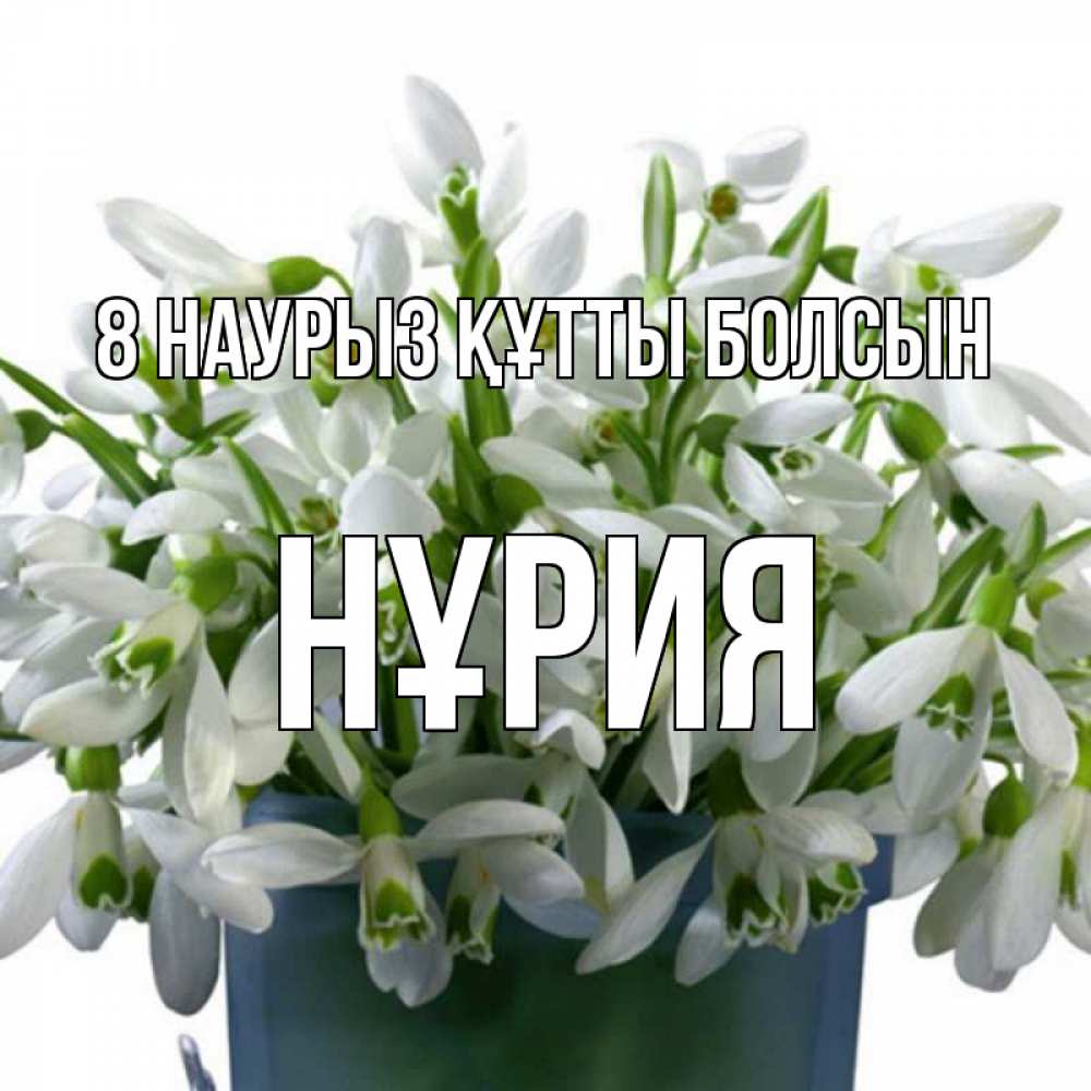 Күн сайын ашық хат с именем, НҰРИЯ 8 наурыз құтты болсын цветы к международному женскому дню Онлайн тегін жүктеп алу тілектері бар керемет карта 