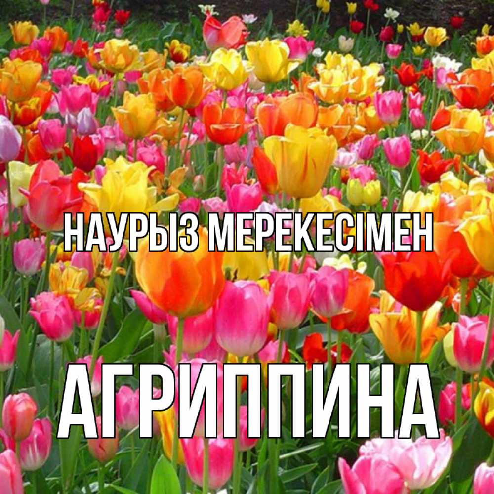 Күн сайын ашық хат с именем, Агриппина Наурыз мерекесімен праздник весны наурыз 4 Онлайн тегін жүктеп алу тілектері бар керемет карта 
