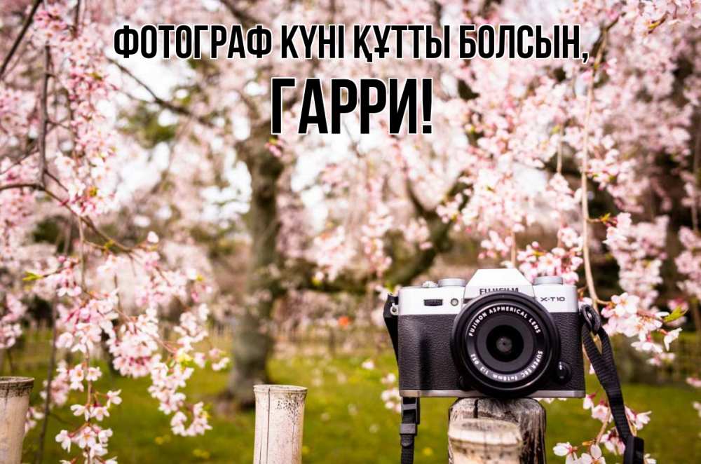 Күн сайын ашық хат с именем, Гарри Фотограф күні құтты болсын сирень с днем фотографа, фотоаппарат Онлайн тегін жүктеп алу тілектері бар керемет карта 
