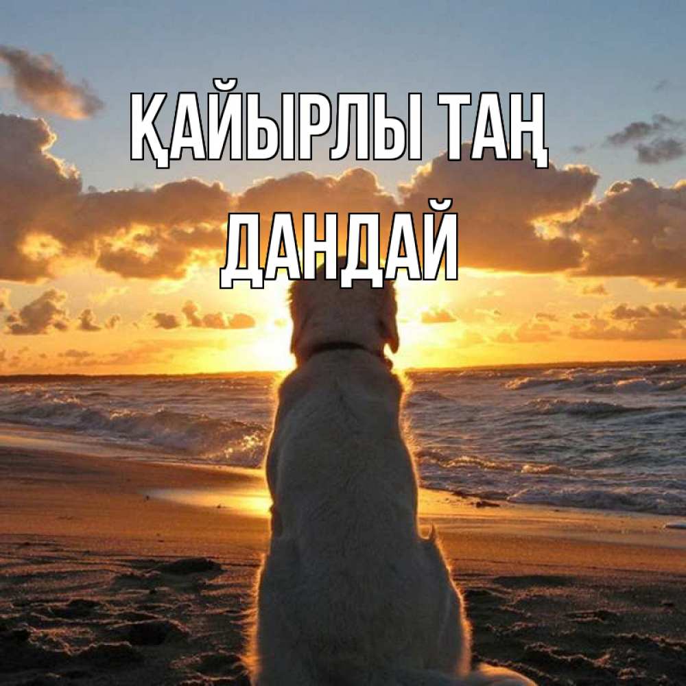 Күн сайын ашық хат с именем, Дандай Қайырлы таң восход солнца Онлайн тегін жүктеп алу тілектері бар керемет карта 