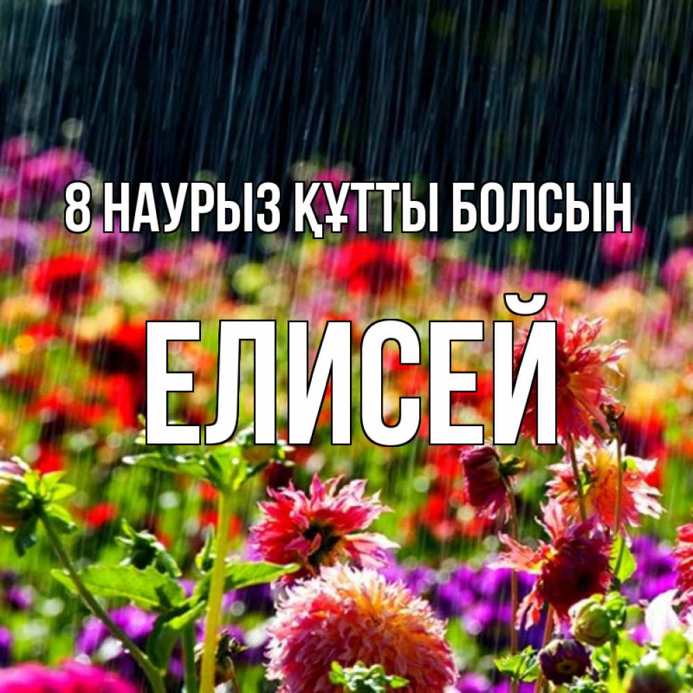 Күн сайын ашық хат с именем, Елисей 8 наурыз құтты болсын цветы под дождиком к международному женскому дню Онлайн тегін жүктеп алу тілектері бар керемет карта 