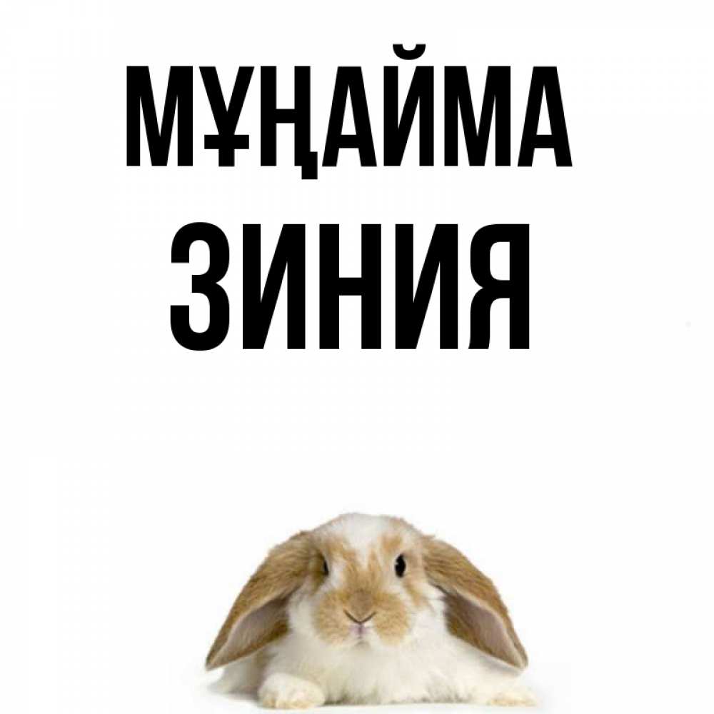 Күн сайын ашық хат с именем, ЗИНИЯ Мұңайма коричнево белый заяц с большими ушками Онлайн тегін жүктеп алу тілектері бар керемет карта 