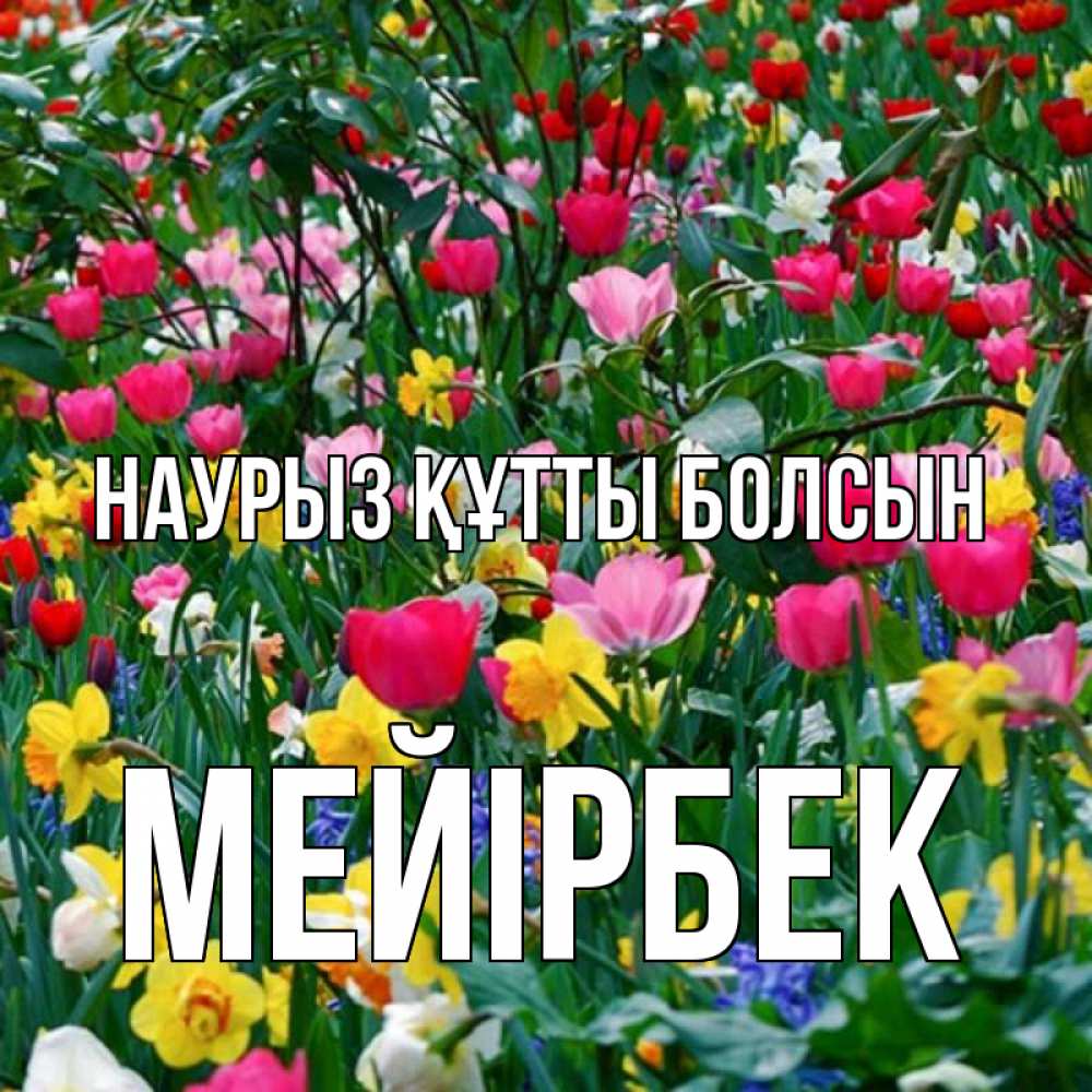 Күн сайын ашық хат с именем, МЕЙІРБЕК Наурыз құтты болсын с наурызом поздравления для женщины Онлайн тегін жүктеп алу тілектері бар керемет карта 