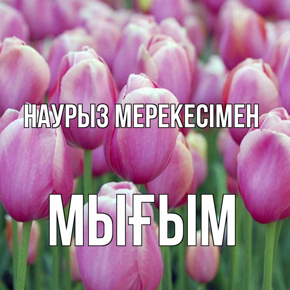 Күн сайын ашық хат с именем, МЫҒЫМ Наурыз мерекесімен праздник весны наурыз 69 Онлайн тегін жүктеп алу тілектері бар керемет карта 
