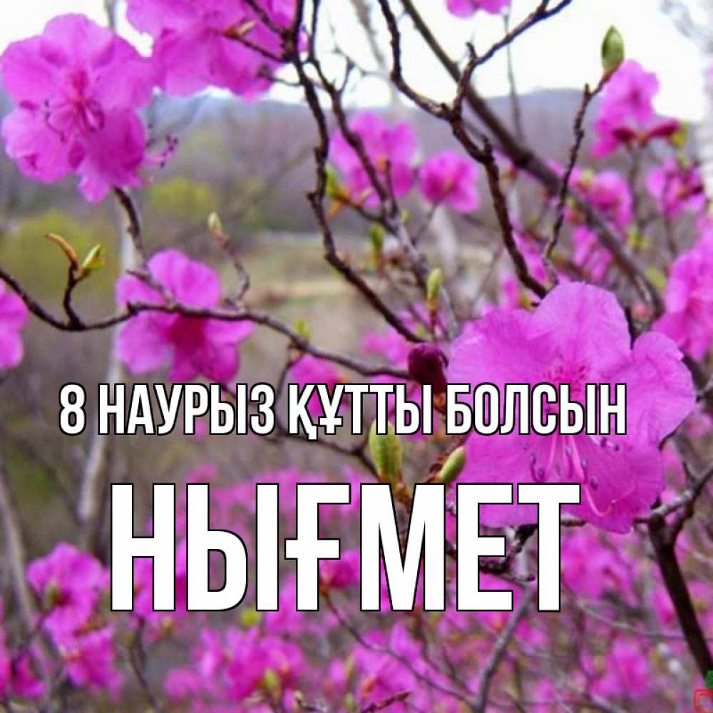 Күн сайын ашық хат с именем, НЫҒМЕТ 8 наурыз құтты болсын международный женский день Онлайн тегін жүктеп алу тілектері бар керемет карта 