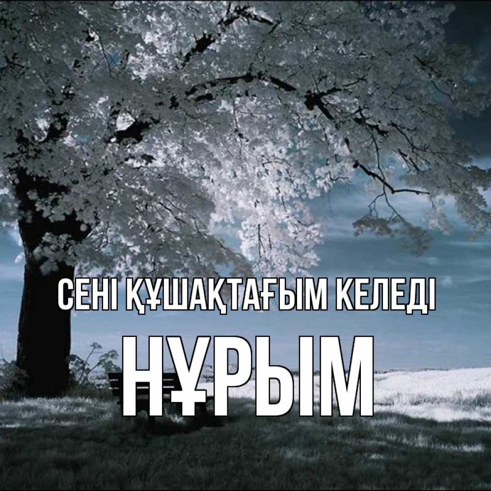 Күн сайын ашық хат с именем, Нұрым сені құшақтағым келеді дерево Онлайн тегін жүктеп алу тілектері бар керемет карта 