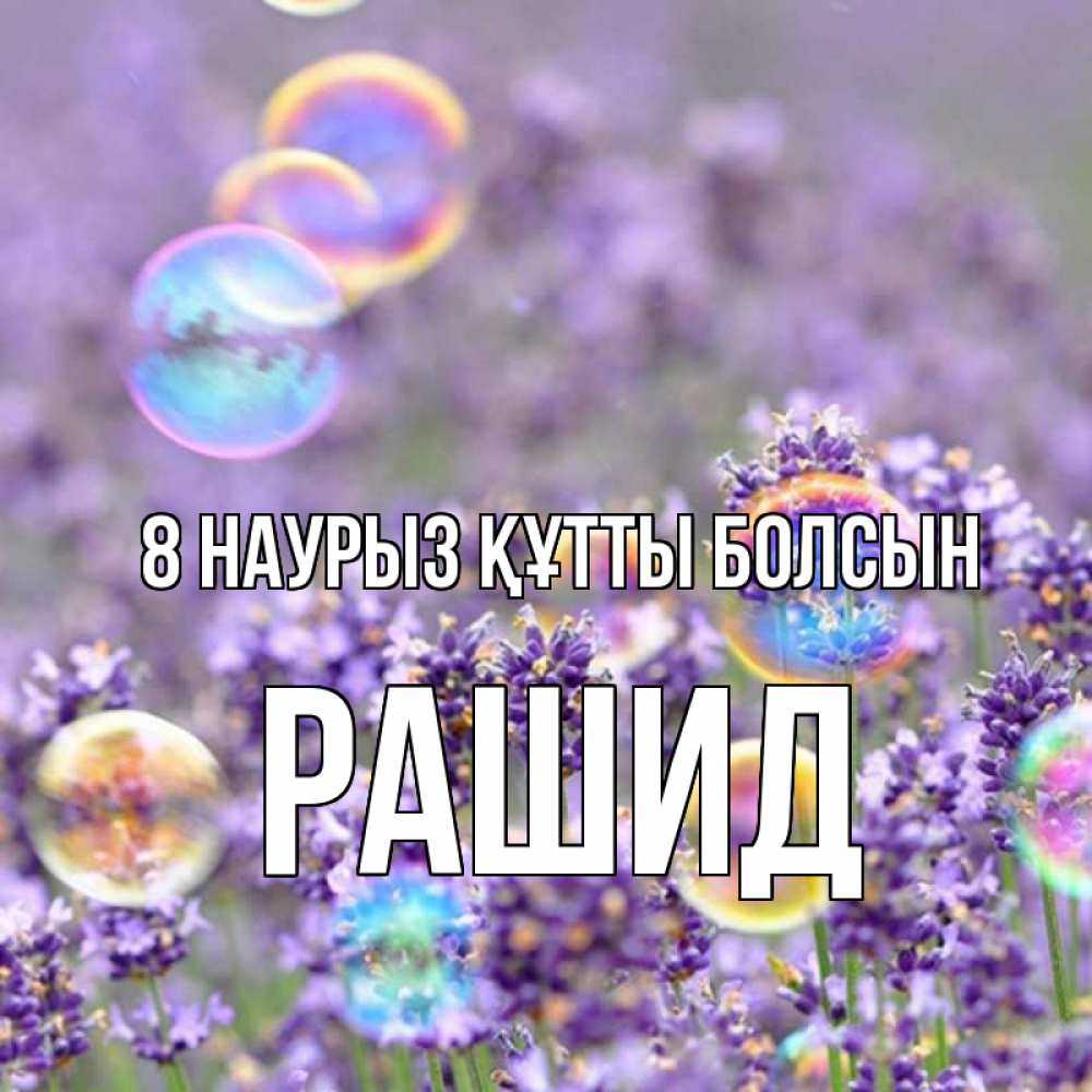 Күн сайын ашық хат с именем, Рашид 8 наурыз құтты болсын цветы Онлайн тегін жүктеп алу тілектері бар керемет карта 