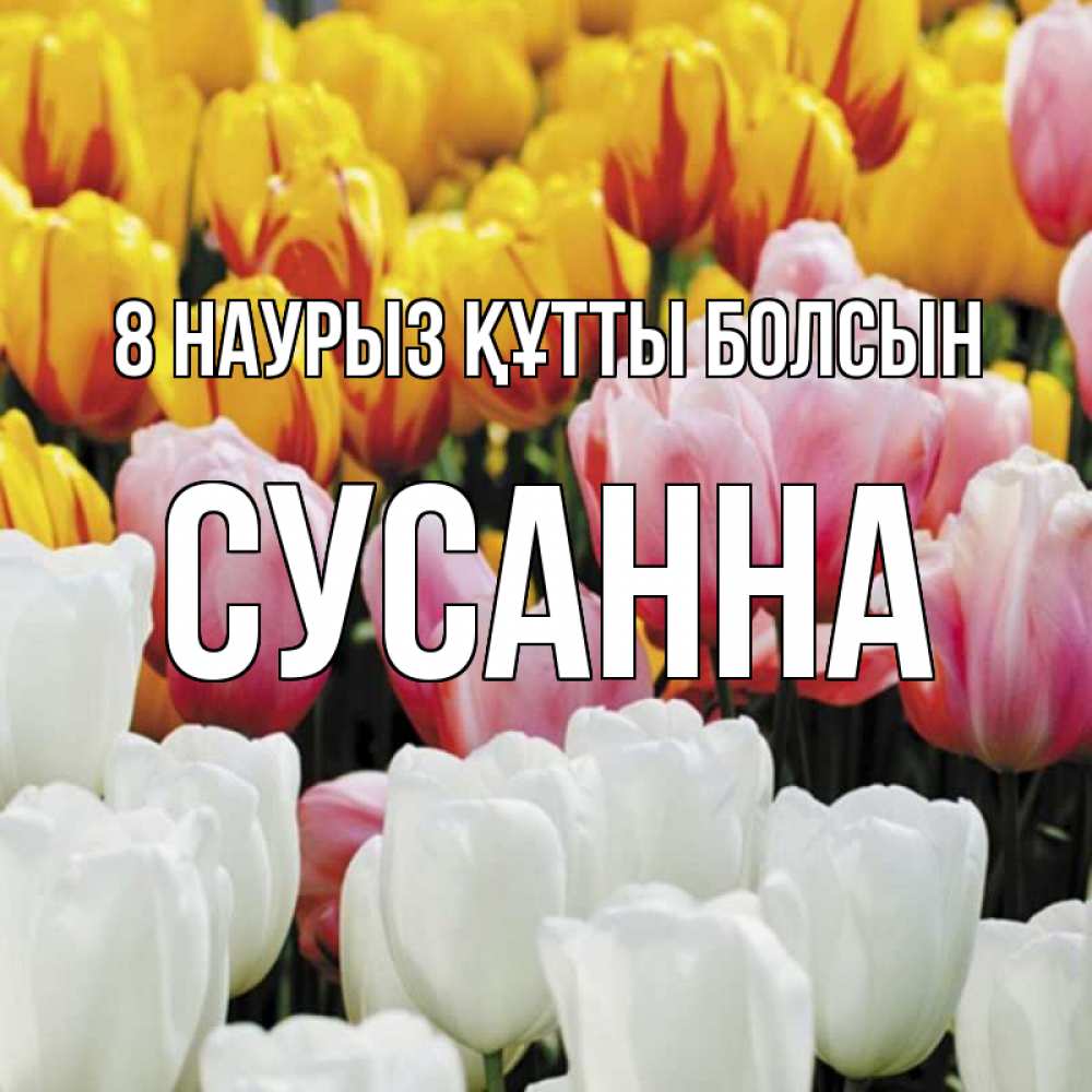 Күн сайын ашық хат с именем, Сусанна 8 наурыз құтты болсын разноцветные цветы Онлайн тегін жүктеп алу тілектері бар керемет карта 