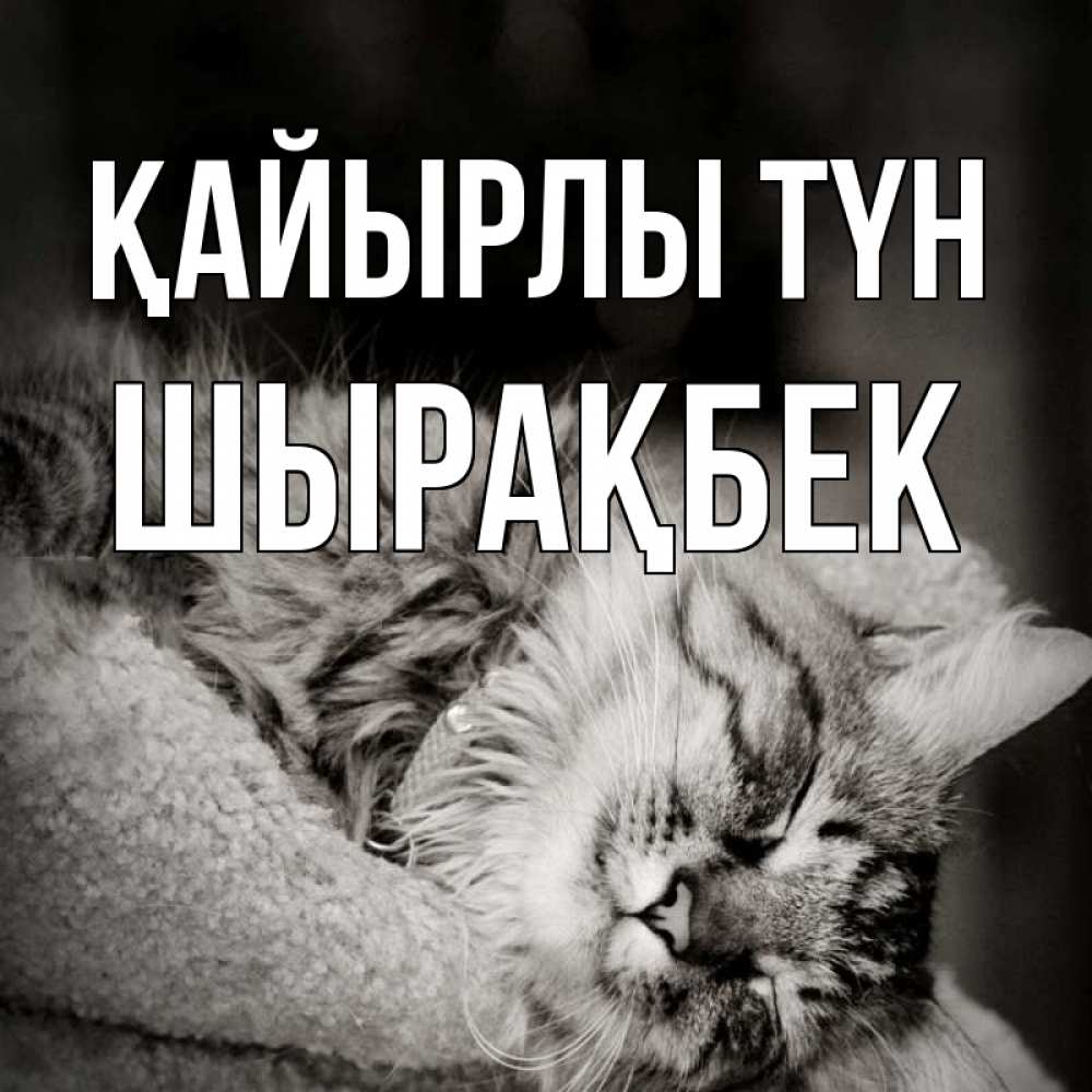 Күн сайын ашық хат с именем, ШЫРАҚБЕК Қайырлы түн котярик пушистый Онлайн тегін жүктеп алу тілектері бар керемет карта 