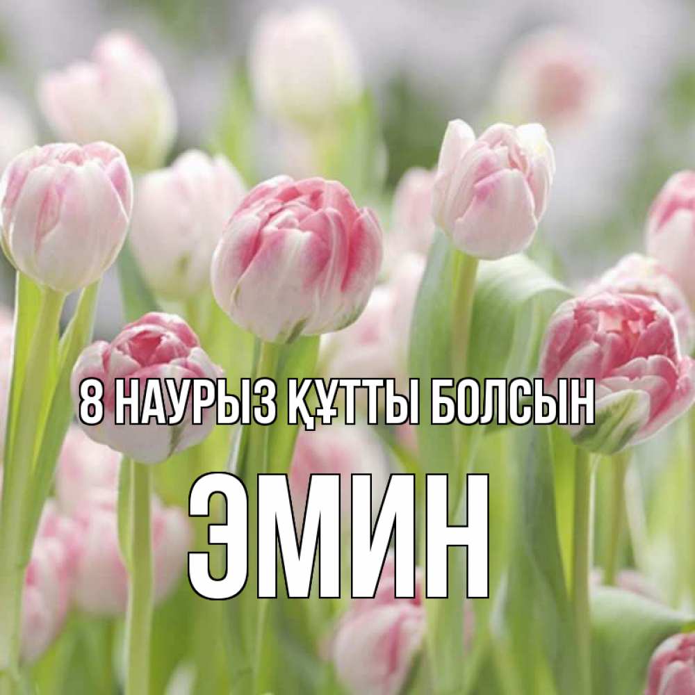 Күн сайын ашық хат с именем, Эмин 8 наурыз құтты болсын цветы Онлайн тегін жүктеп алу тілектері бар керемет карта 