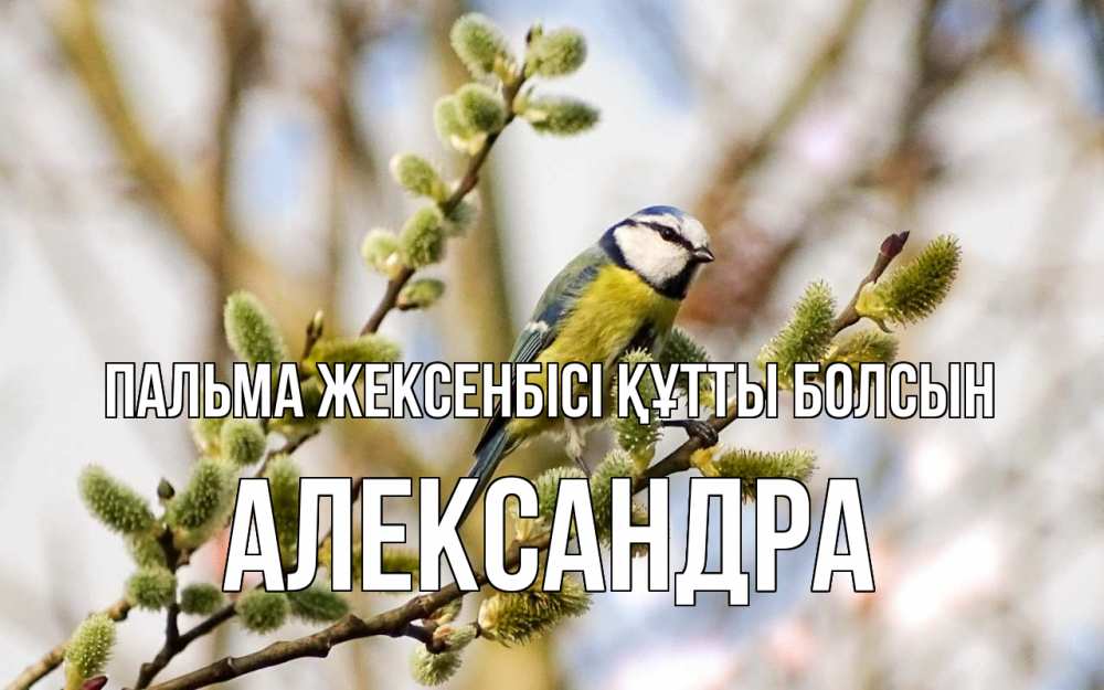 Күн сайын ашық хат с именем, Александра Пальма жексенбісі құтты болсын верба Онлайн тегін жүктеп алу тілектері бар керемет карта 