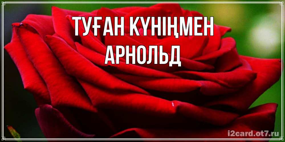 Күн сайын ашық хат с именем, Арнольд Туған күніңмен розочка очень красивая Онлайн тегін жүктеп алу тілектері бар керемет карта 