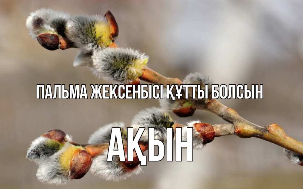 Күн сайын ашық хат с именем, Ақын Пальма жексенбісі құтты болсын Верба Онлайн тегін жүктеп алу тілектері бар керемет карта 