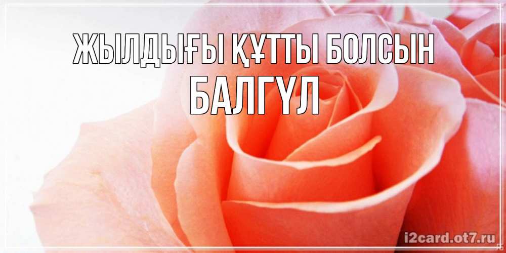 Күн сайын ашық хат с именем, БАЛГҮЛ Жылдығы құтты болсын розы для поздравления с днем рождения Онлайн тегін жүктеп алу тілектері бар керемет карта 