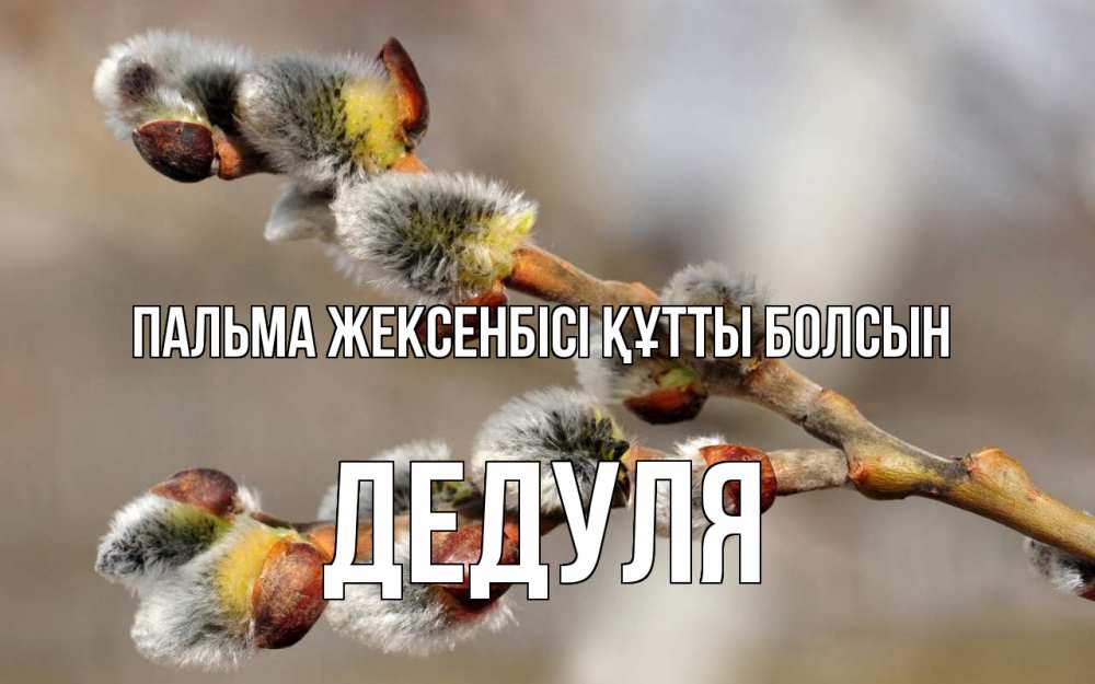 Күн сайын ашық хат с именем, Дедуля Пальма жексенбісі құтты болсын Верба Онлайн тегін жүктеп алу тілектері бар керемет карта 