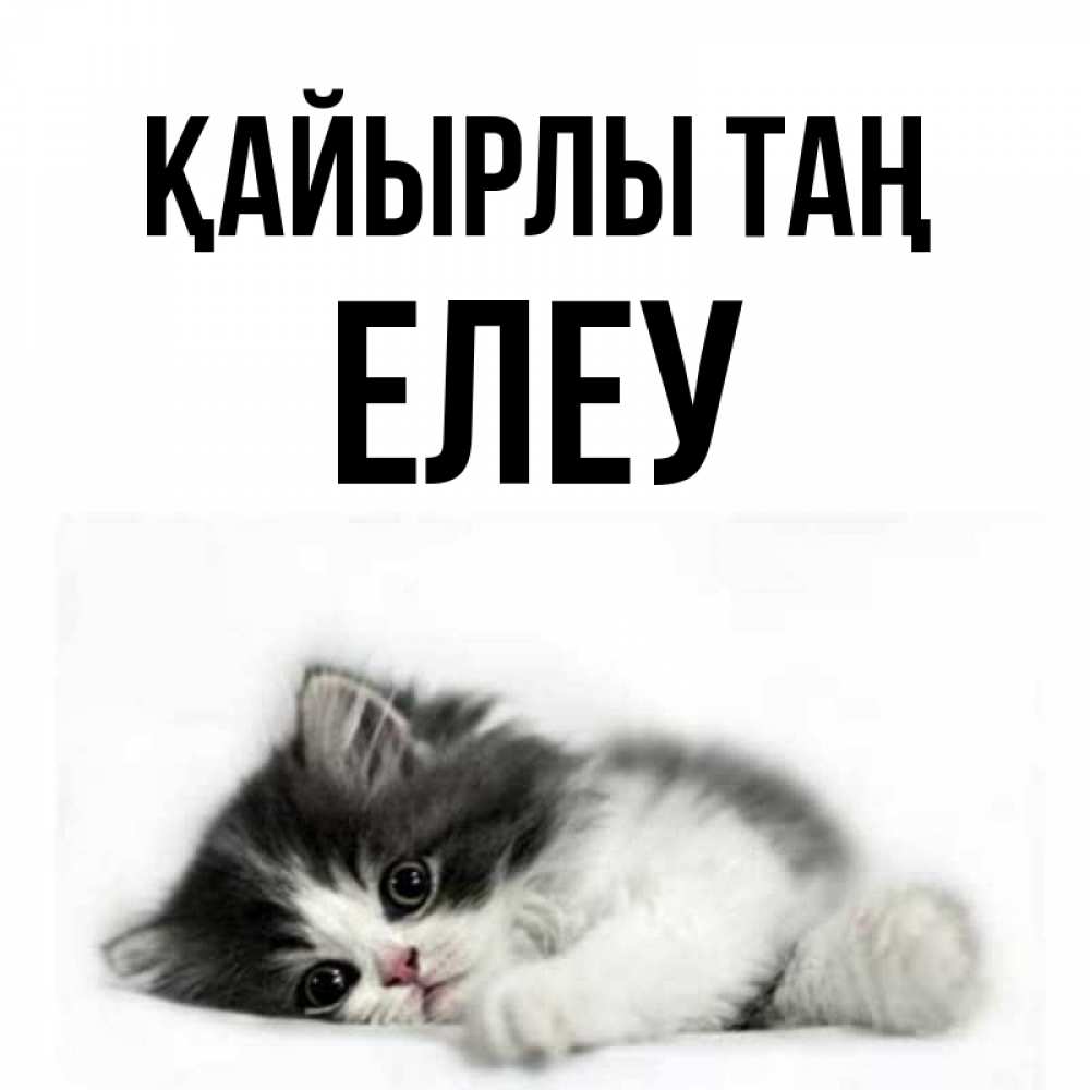 Күн сайын ашық хат с именем, Елеу Қайырлы таң кот лапки Онлайн тегін жүктеп алу тілектері бар керемет карта 
