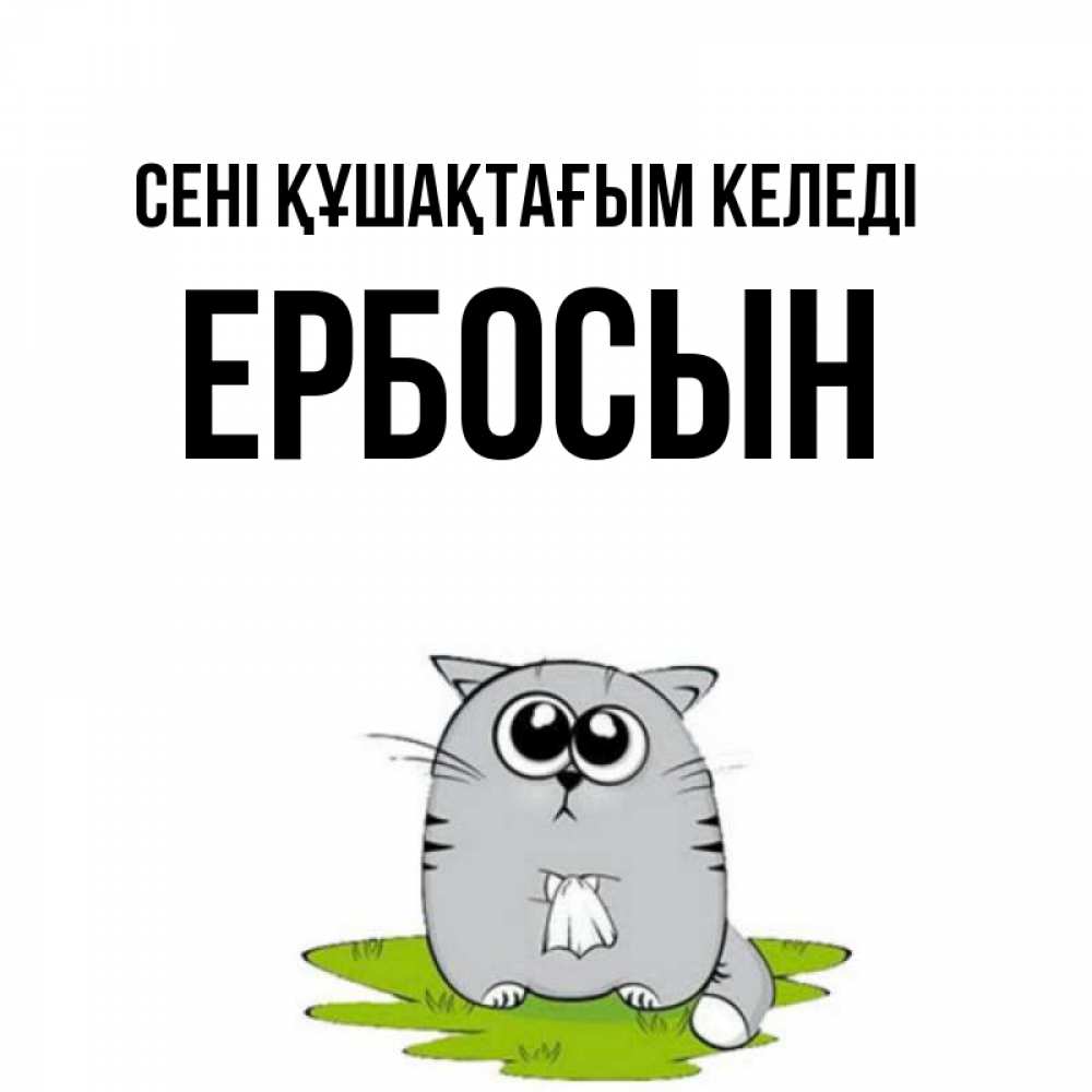 Күн сайын ашық хат с именем, Ербосын сені құшақтағым келеді котик теребит платочек сидя на травке Онлайн тегін жүктеп алу тілектері бар керемет карта 