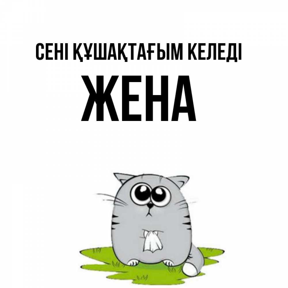 Күн сайын ашық хат с именем, Жена сені құшақтағым келеді котик теребит платочек сидя на травке Онлайн тегін жүктеп алу тілектері бар керемет карта 