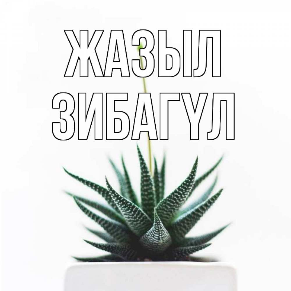 Күн сайын ашық хат с именем, ЗИБАГҮЛ Жазыл короче это непонятная колючка Онлайн тегін жүктеп алу тілектері бар керемет карта 