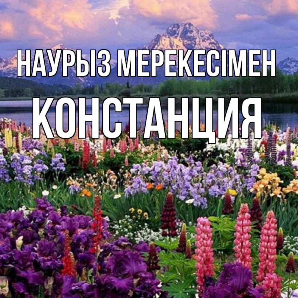 Күн сайын ашық хат с именем, Констанция Наурыз мерекесімен праздник весны наурыз Онлайн тегін жүктеп алу тілектері бар керемет карта 