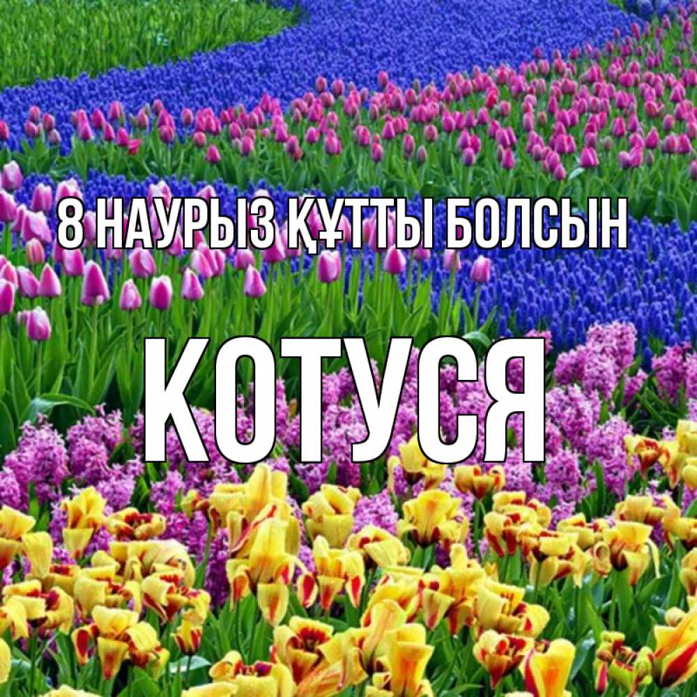 Күн сайын ашық хат с именем, Котуся 8 наурыз құтты болсын цветы Онлайн тегін жүктеп алу тілектері бар керемет карта 