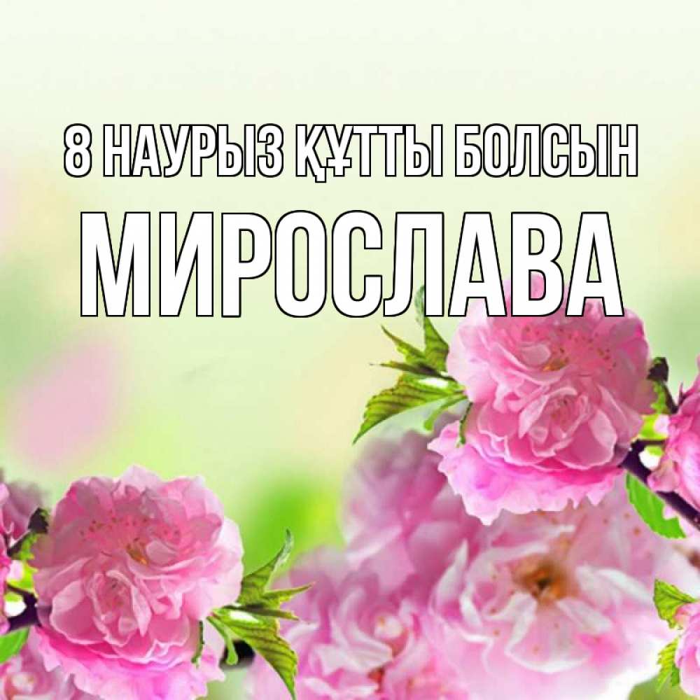 Күн сайын ашық хат с именем, Мирослава 8 наурыз құтты болсын цветы Онлайн тегін жүктеп алу тілектері бар керемет карта 