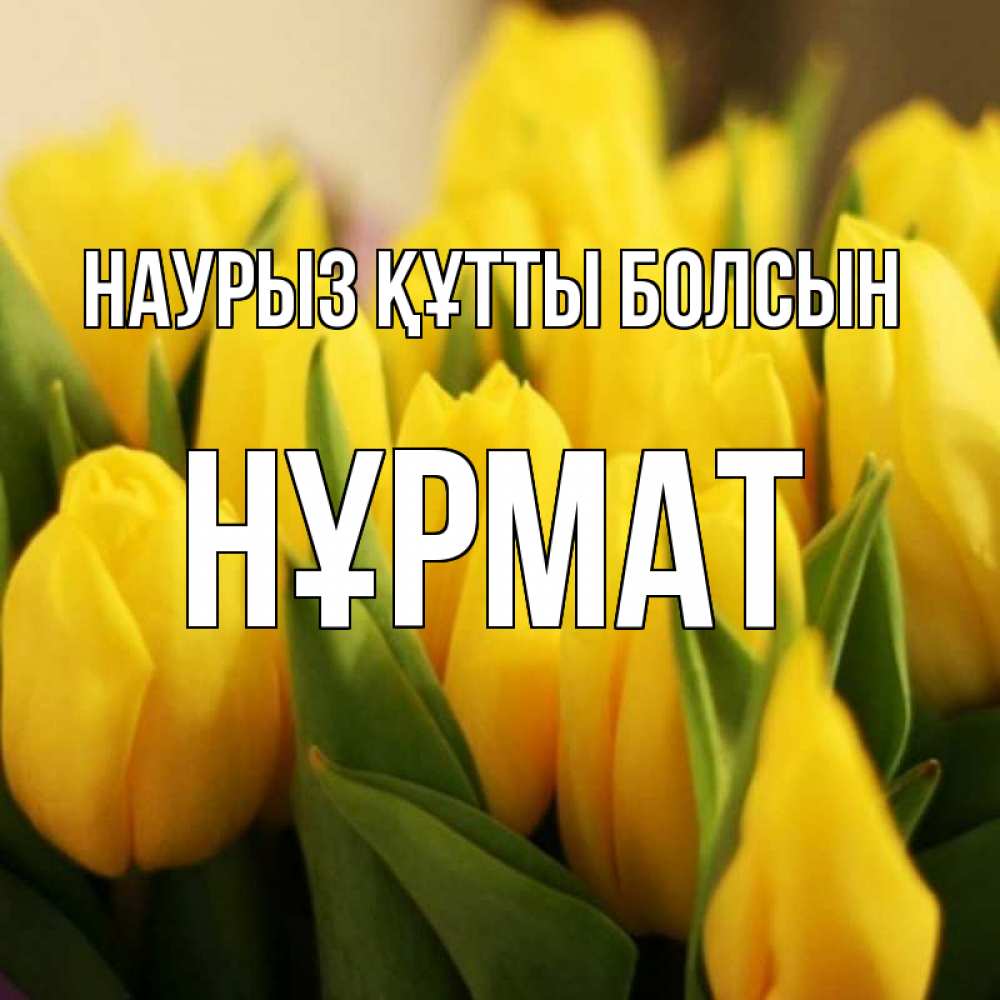Күн сайын ашық хат с именем, Нұрмат Наурыз құтты болсын цветы Онлайн тегін жүктеп алу тілектері бар керемет карта 