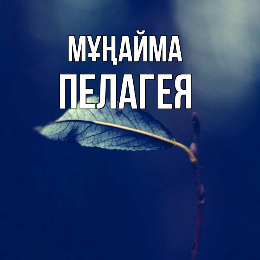 Күн сайын ашық хат с именем, Пелагея Мұңайма растение Онлайн тегін жүктеп алу тілектері бар керемет карта 