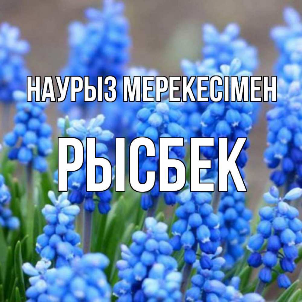 Күн сайын ашық хат с именем, РЫСБЕК Наурыз мерекесімен Поздравительная открытка для женщин с цветами на праздничную дату Онлайн тегін жүктеп алу тілектері бар керемет карта 