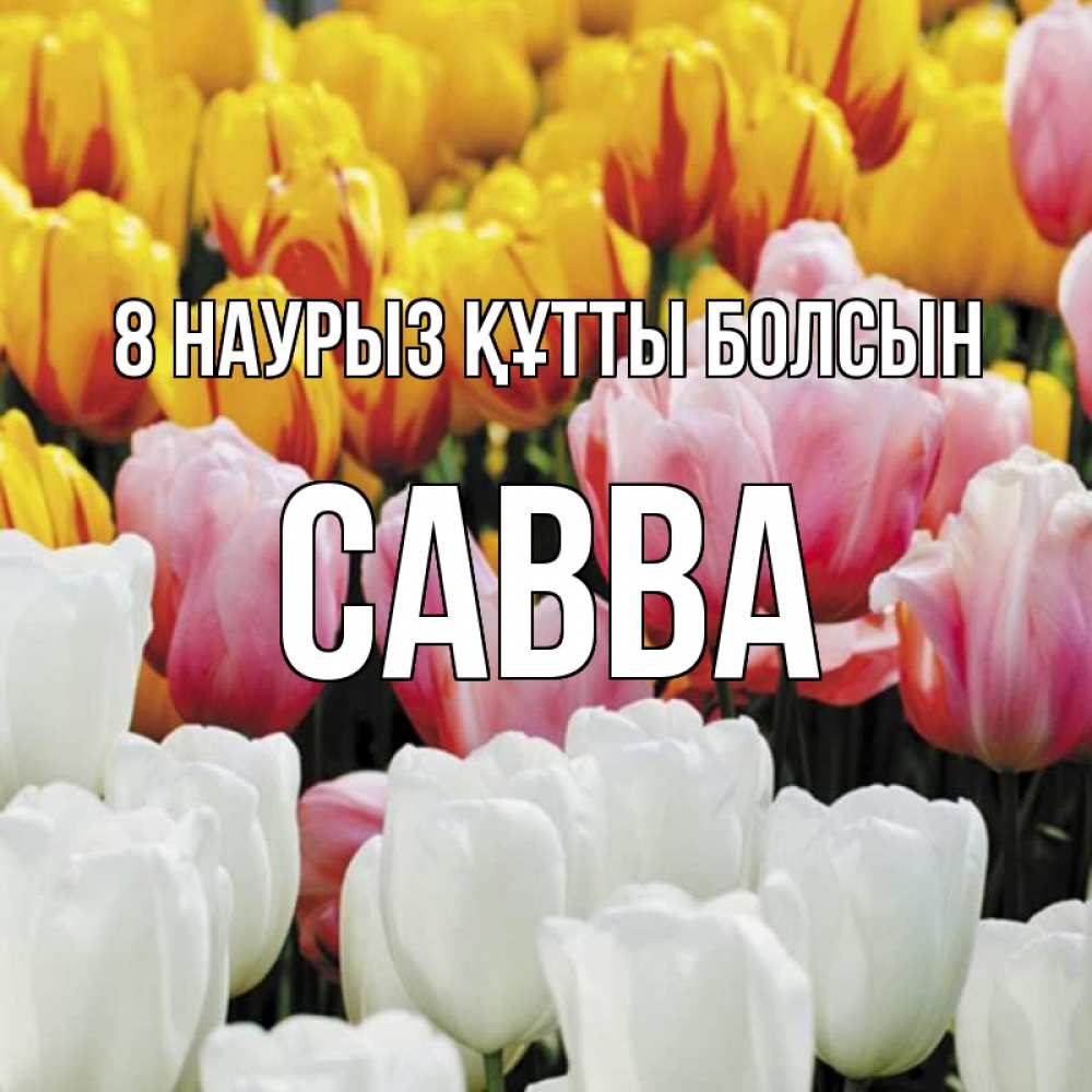 Күн сайын ашық хат с именем, Савва 8 наурыз құтты болсын разноцветные цветы Онлайн тегін жүктеп алу тілектері бар керемет карта 
