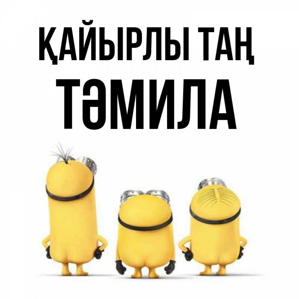 Күн сайын ашық хат с именем, ТӘМИЛА Қайырлы таң подписать открытку онлайн бесплатно Онлайн тегін жүктеп алу тілектері бар керемет карта 