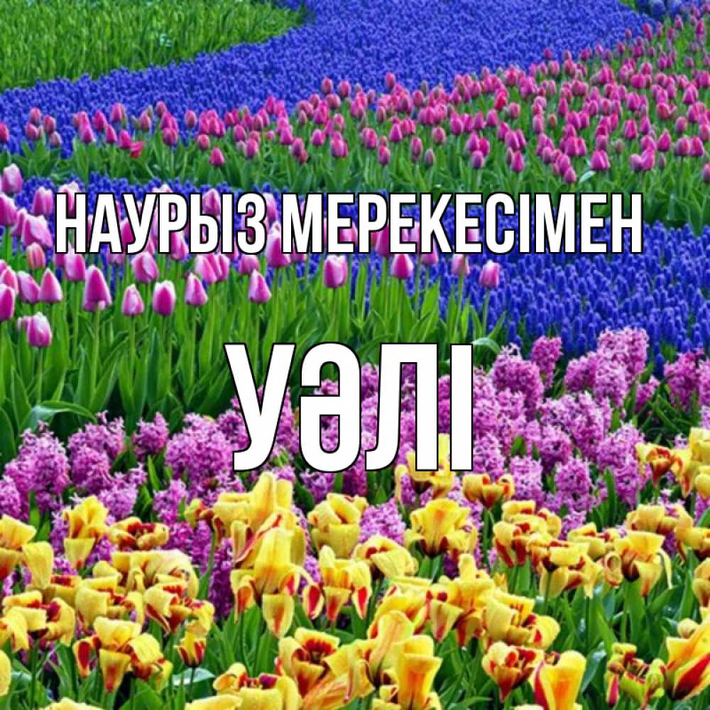 Күн сайын ашық хат с именем, УӘЛІ Наурыз мерекесімен цветы Онлайн тегін жүктеп алу тілектері бар керемет карта 