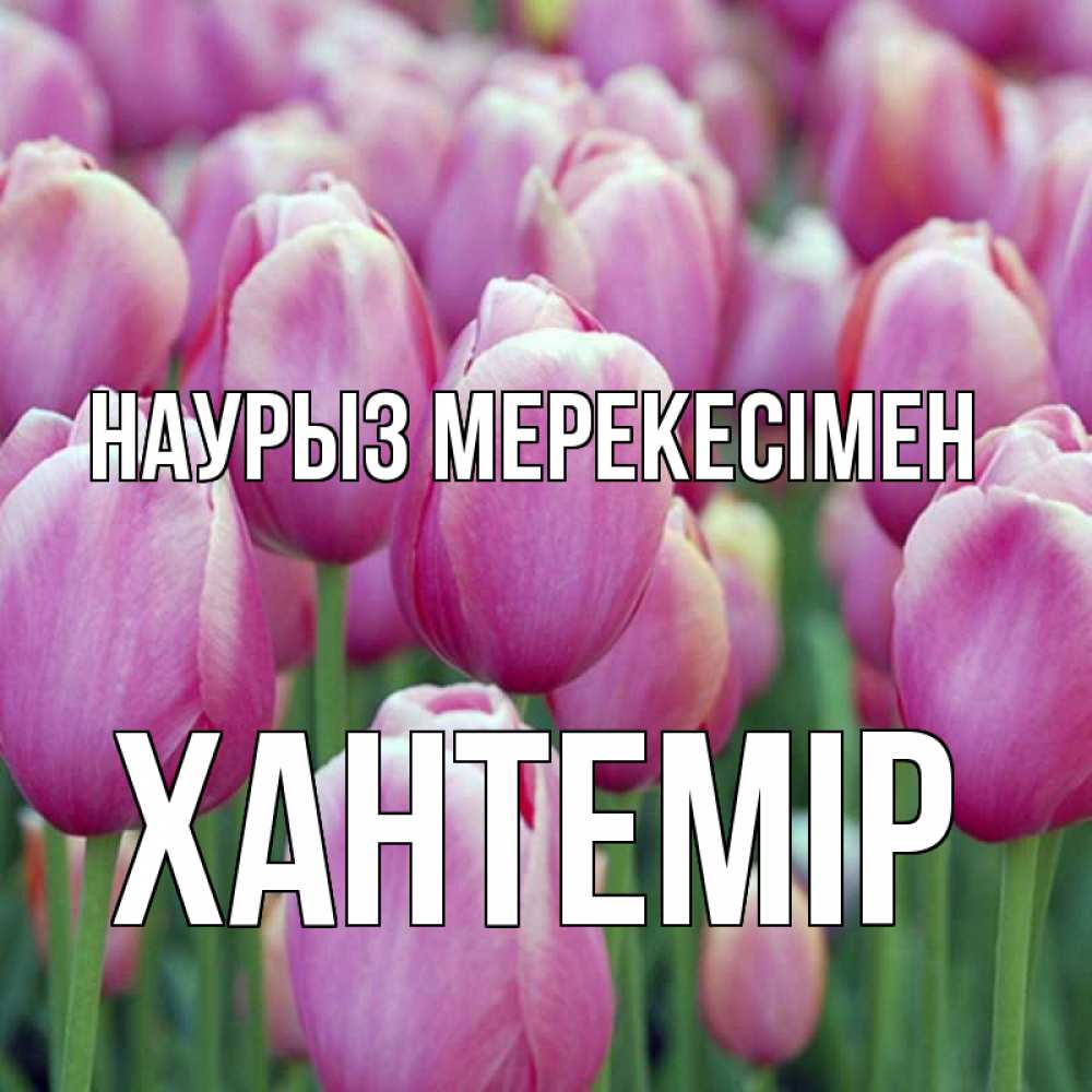 Күн сайын ашық хат с именем, ХАНТЕМІР Наурыз мерекесімен праздник весны наурыз 69 Онлайн тегін жүктеп алу тілектері бар керемет карта 