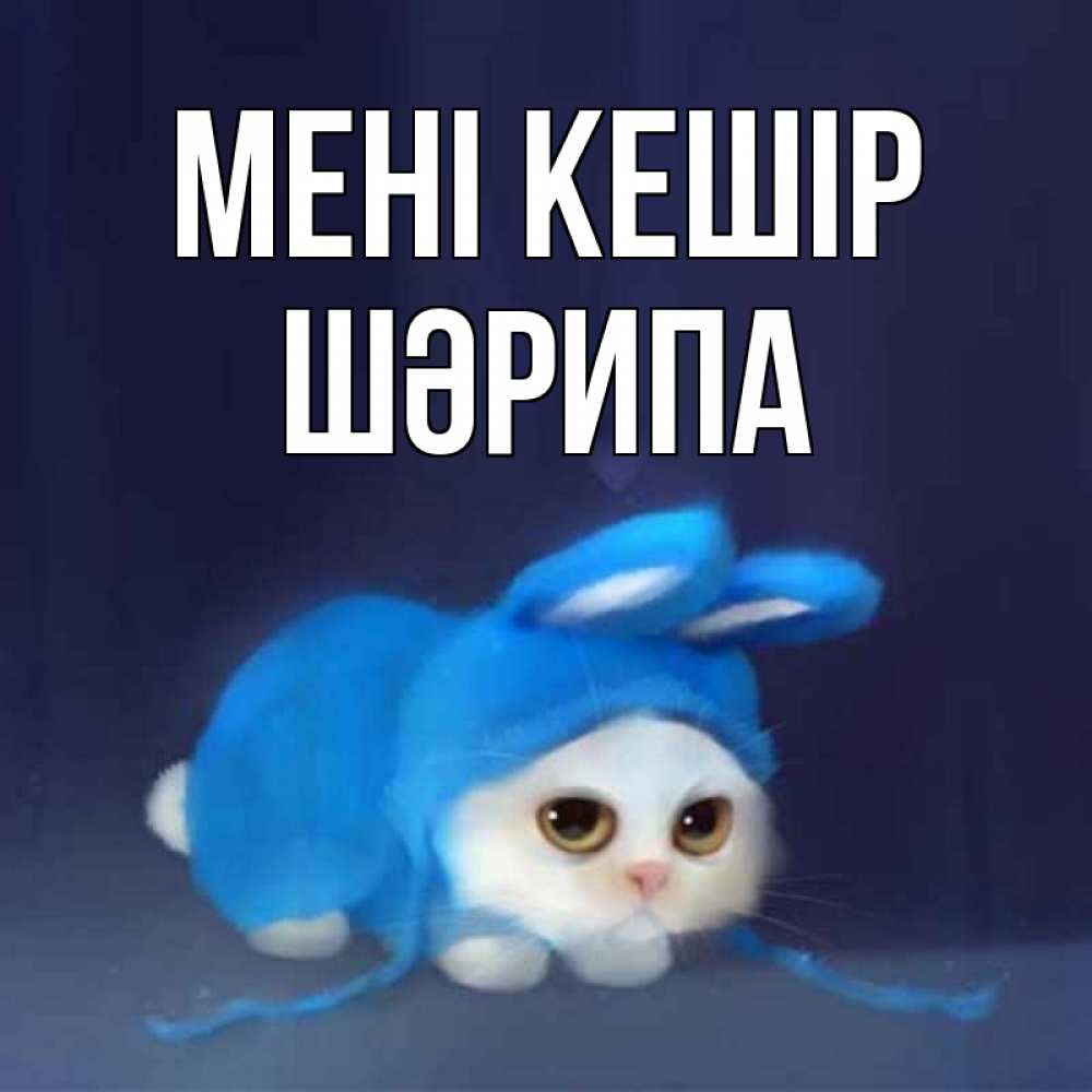 Күн сайын ашық хат с именем, ШӘРИПА Мені кешір невинный котозай просит прощения Онлайн тегін жүктеп алу тілектері бар керемет карта 
