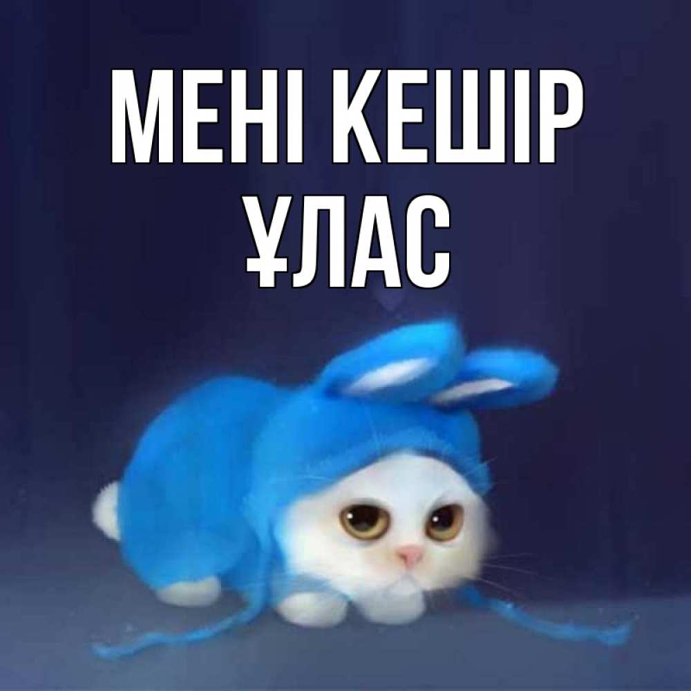 Күн сайын ашық хат с именем, ҰЛАС Мені кешір невинный котозай просит прощения Онлайн тегін жүктеп алу тілектері бар керемет карта 
