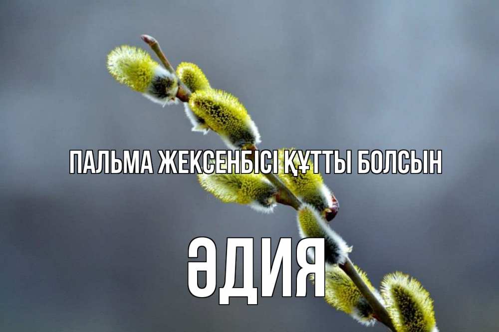 Күн сайын ашық хат с именем, ӘДИЯ Пальма жексенбісі құтты болсын верба Онлайн тегін жүктеп алу тілектері бар керемет карта 