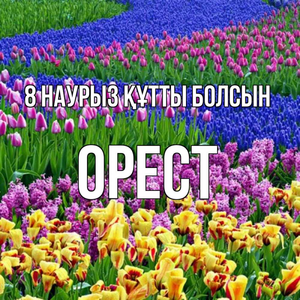 Күн сайын ашық хат с именем, Орест 8 наурыз құтты болсын цветы Онлайн тегін жүктеп алу тілектері бар керемет карта 