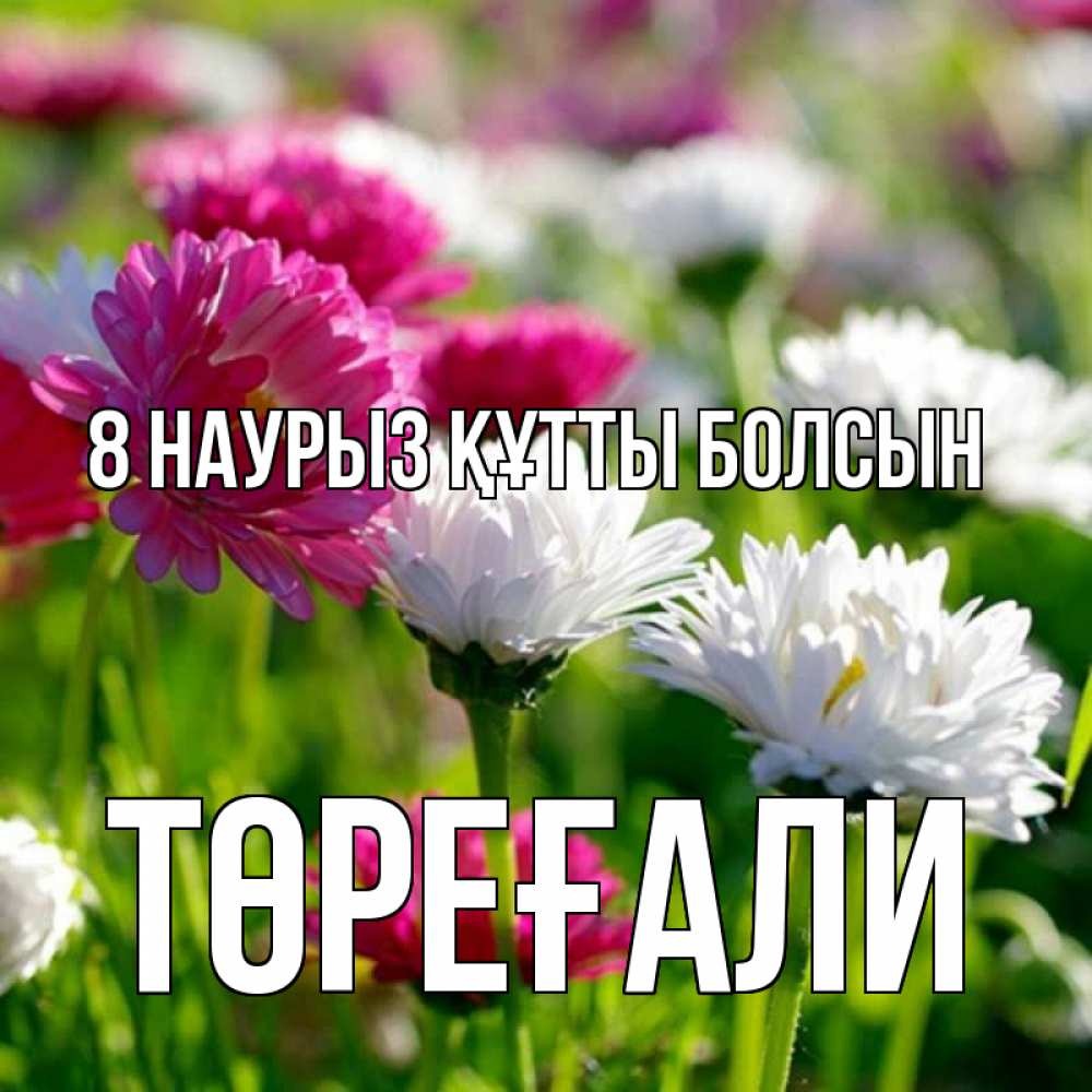 Күн сайын ашық хат с именем, Төреғали 8 наурыз құтты болсын международный женский день 1 Онлайн тегін жүктеп алу тілектері бар керемет карта 