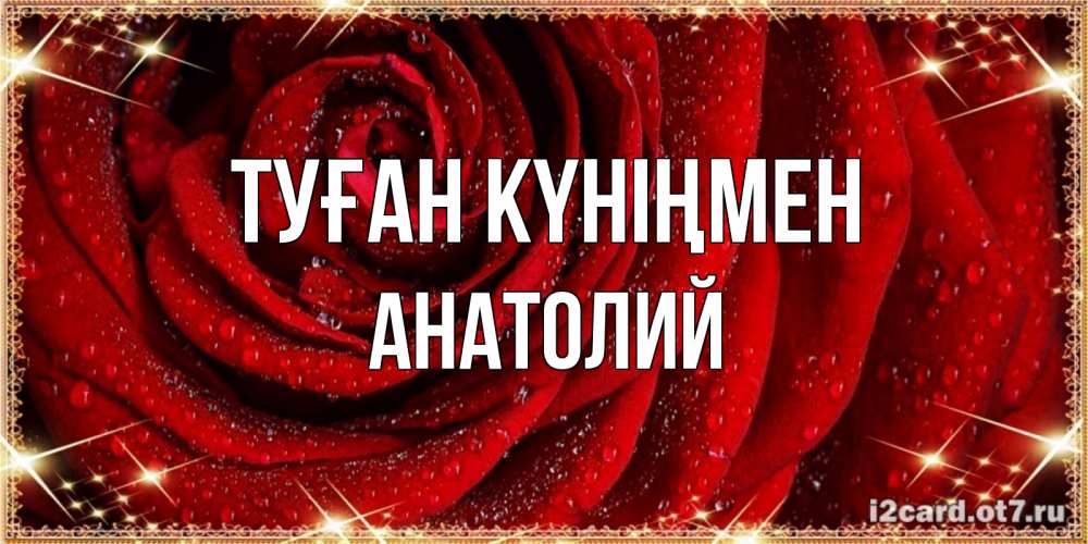 Күн сайын ашық хат с именем, Анатолий Туған күніңмен роса на розе блестящая в лучах солнца Онлайн тегін жүктеп алу тілектері бар керемет карта 