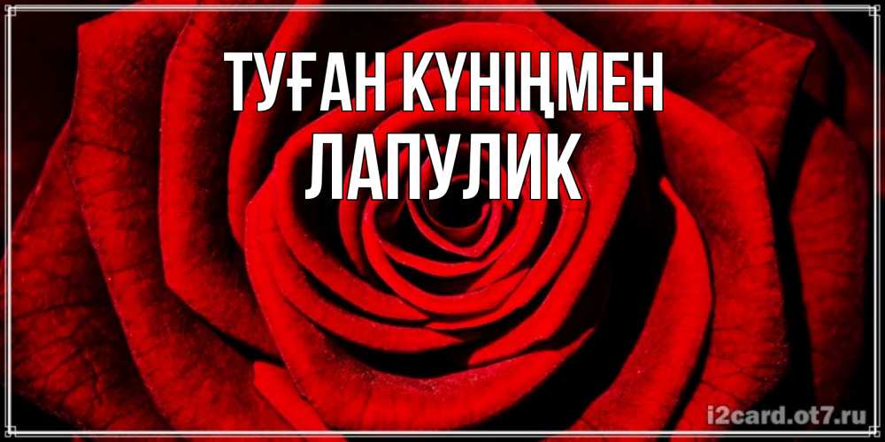Күн сайын ашық хат с именем, Лапулик Туған күніңмен алая роза Онлайн тегін жүктеп алу тілектері бар керемет карта 