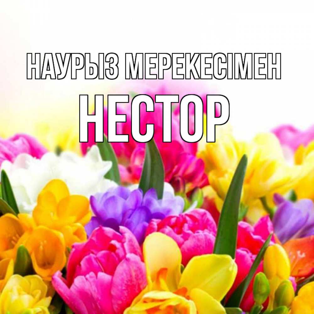 Күн сайын ашық хат с именем, Нестор Наурыз мерекесімен тюльпаны Онлайн тегін жүктеп алу тілектері бар керемет карта 