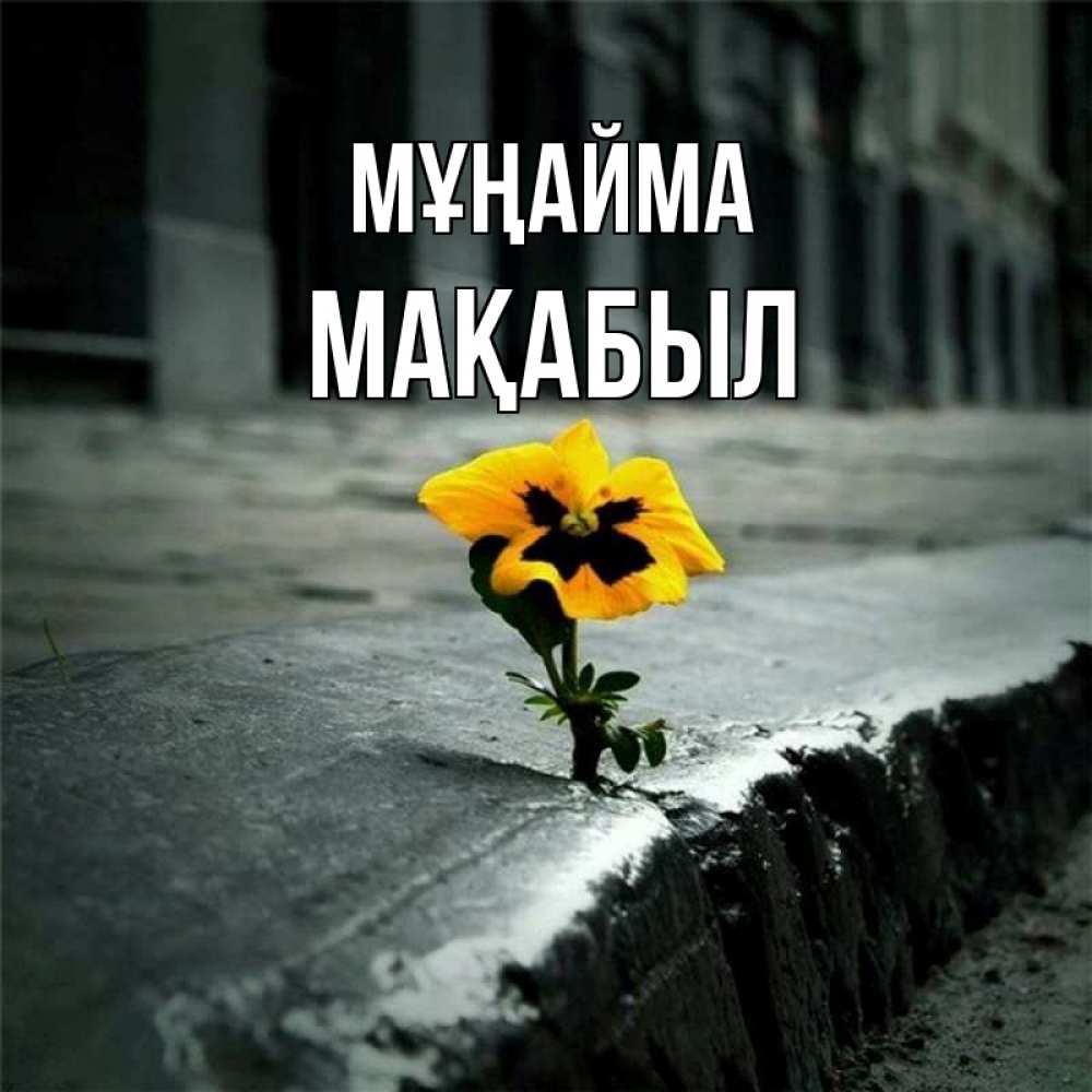 Күн сайын ашық хат с именем, МАҚАБЫЛ Мұңайма не сдавайся Онлайн тегін жүктеп алу тілектері бар керемет карта 