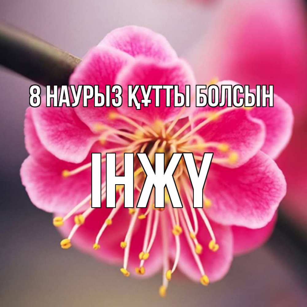Күн сайын ашық хат с именем, ІНЖҮ 8 наурыз құтты болсын цветы Онлайн тегін жүктеп алу тілектері бар керемет карта 