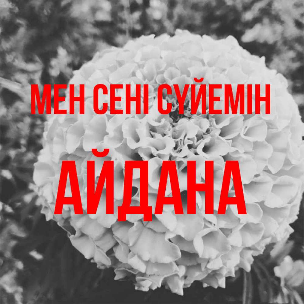 Күн сайын ашық хат с именем, АЙДАНА Мен сені сүйемін подпись Онлайн тегін жүктеп алу тілектері бар керемет карта 