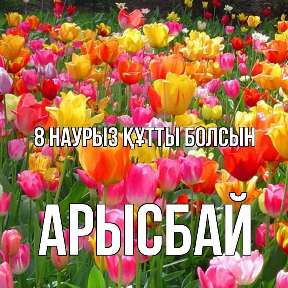 Күн сайын ашық хат с именем, Арысбай 8 наурыз құтты болсын на международный женский день Онлайн тегін жүктеп алу тілектері бар керемет карта 