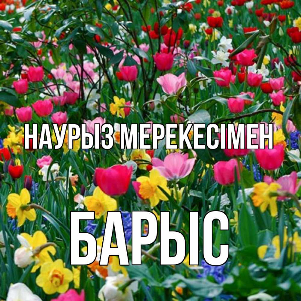 Күн сайын ашық хат с именем, Барыс Наурыз мерекесімен с наурызом праздником весны поздравления для женщины Онлайн тегін жүктеп алу тілектері бар керемет карта 